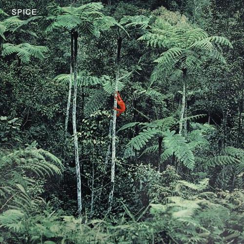 Glen Innes, NSW, Spice, Music, Vinyl LP, Rocket Group, Mar23, DAIS, Spice, Alternative