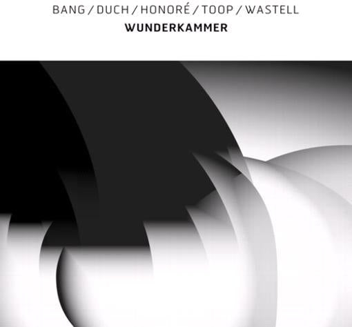 Glen Innes, NSW, Wunderkammer, Music, Vinyl LP, Rocket Group, Dec24, Confront, Bang, Duch, Honor, Toop, Wastell, Jazz