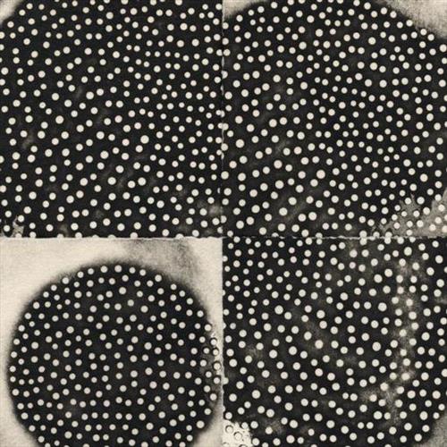Glen Innes, NSW, Proximate Forms, Music, CD, Rocket Group, Mar25, PALACE OF LIGHTS, Leimer, K., Alternative