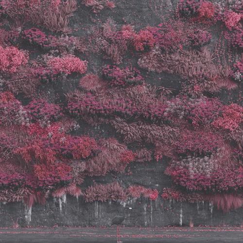 Glen Innes, NSW, Even In Arcadia, Music, CD, Sony Music, May25, , Sleep Token, Metal