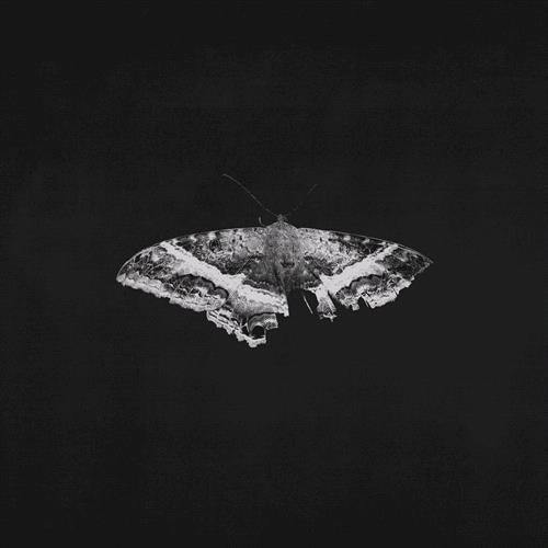 Glen Innes, NSW, To Pimp A Butterfly, Music, Vinyl 12", Universal Music, May25, INTERSCOPE, Kendrick Lamar, Rap & Hip-Hop