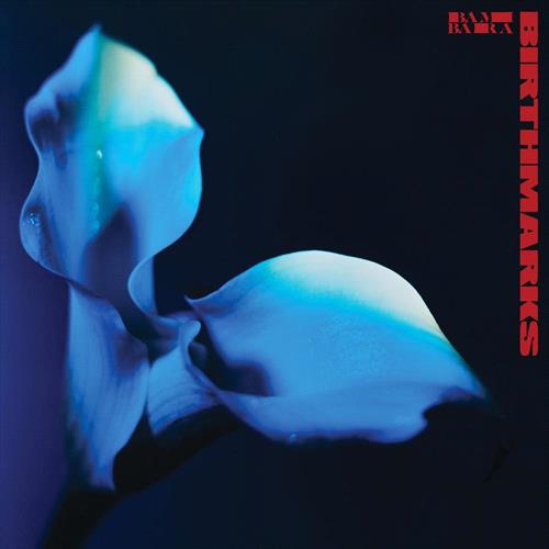 Glen Innes, NSW, Birthmarks, Music, Vinyl LP, Rocket Group, Mar25, BELLA UNION, Bambara, Alternative