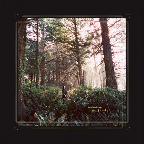 Glen Innes, NSW, Seed Of A Seed, Music, Vinyl LP, Rocket Group, Mar25, HOUSE ARREST, Heynderickx, Haley, Folk