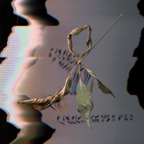 Glen Innes, NSW, Trill Scan, Music, Vinyl LP, Rocket Group, Mar25, CONSTELLATION, Gowdy, T., Dance & Electronic