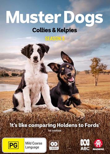Glen Innes NSW, Muster Dogs, TV, Special Interest, DVD