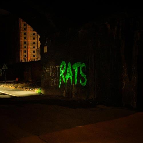 Glen Innes, NSW, Rule The World, Music, Vinyl LP, Rocket Group, May25, ALLSORTED RECORDS, Rats, Alternative