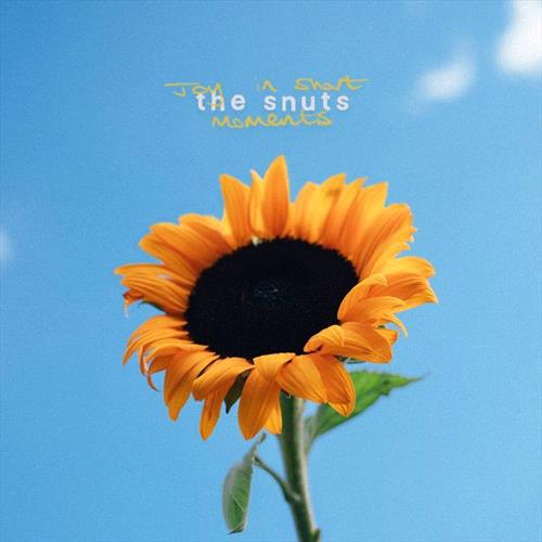 Glen Innes, NSW, Joy In Short Moments, Music, CD, Inertia Music, Oct26, Virgin, The Snuts, Alternative