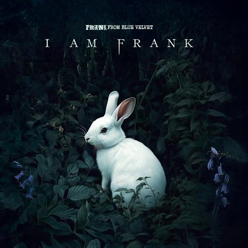 Glen Innes, NSW, I Am Frank, Music, CD, Rocket Group, May25, PROPERTY OF THE LOST, Frank From Blue Velvet, Alternative
