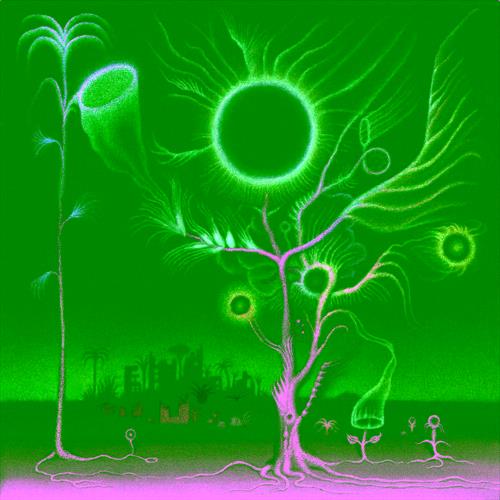 Glen Innes, NSW, Flowers Are Blooming In Antarctica, Music, Vinyl LP, Rocket Group, Mar25, Maple Death Records, Agnusdei, Laura, Rock