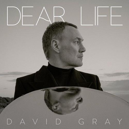 Glen Innes, NSW, Dear Life, Music, Vinyl LP, Rocket Group, Jan25, LAUGH A MINUTE RECORDS, Gray, David, Pop