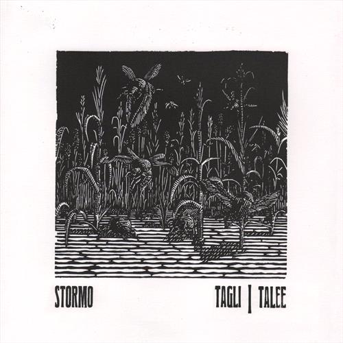 Glen Innes, NSW, Tagli/Talee, Music, CD, Rocket Group, Mar25, Prosthetic Records, Stormo, Punk