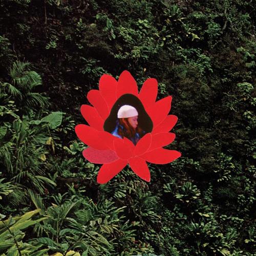 Glen Innes, NSW, When The Flowers Bloom, Music, Vinyl, Inertia Music, Aug25, Stones Throw, Lionmilk, Alternative