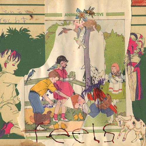 Glen Innes, NSW, Feels, Music, CD, Universal Music, Oct25, DOMINO RECORDING COMPANY (DIST DEAL), Animal Collective, Alternative