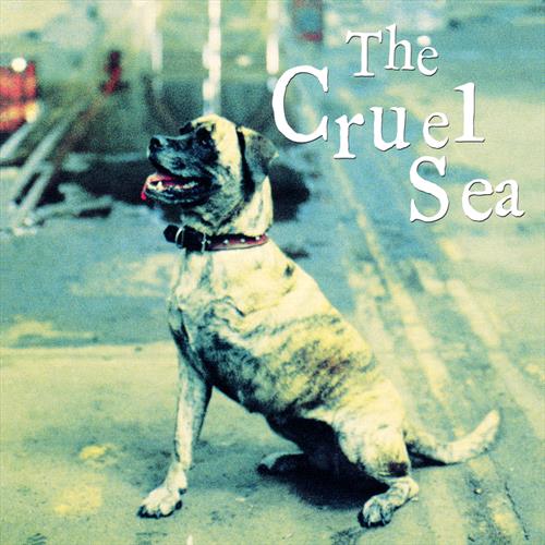 Glen Innes, NSW, Three Legged Dog, Music, Vinyl LP, Universal Music, Nov25, UNIVERSAL MUSIC AUSTRALIA, The Cruel Sea, Rock