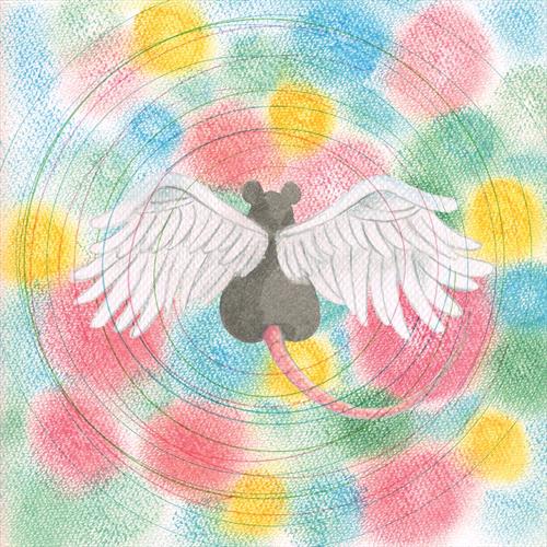 Glen Innes, NSW, Animaru, Music, Vinyl LP, Rocket Group, May25, Bayonet, Semones, Mei, Alternative