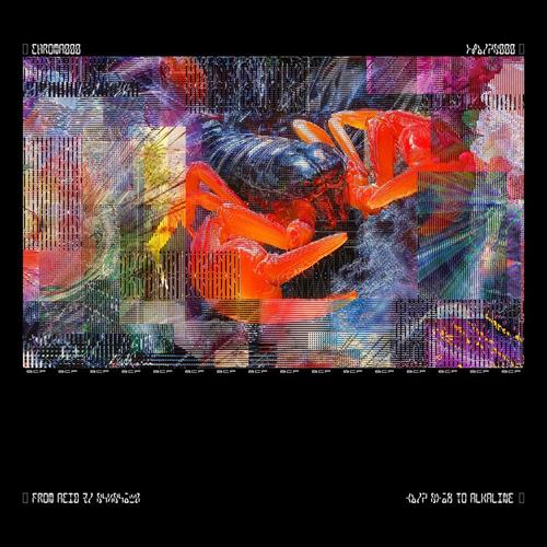 Glen Innes, NSW, Chroma 000, Music, Vinyl, Inertia Music, Feb26, Ninja Tune, Bicep, Dance & Electronic