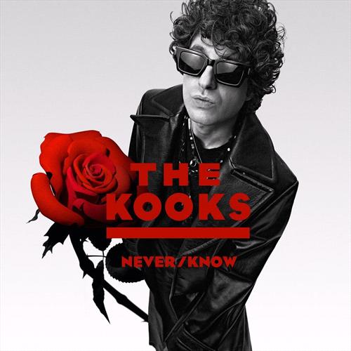 Glen Innes, NSW, Never/Know, Music, Vinyl, Inertia Music, May25, Virgin, The Kooks, Rock