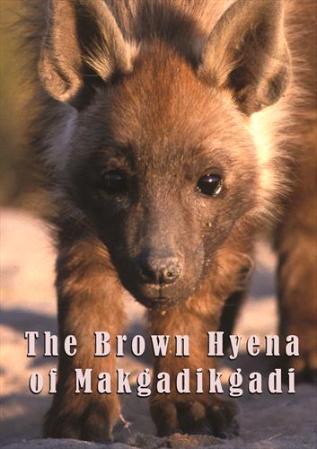 Glen Innes, NSW, The Brown Hyena Of Makgadikgadi, Music, DVD, MGM Music, May24, DREAMSCAPE MEDIA, Various Artists, Special Interest / Miscellaneous