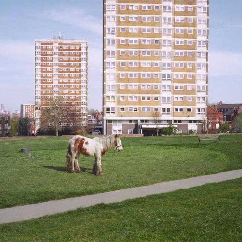 Glen Innes, NSW, It Goes On, Music, Vinyl LP, Universal Music, Aug26, ISLAND RECORDS - UK, Westside Cowboy, Alternative