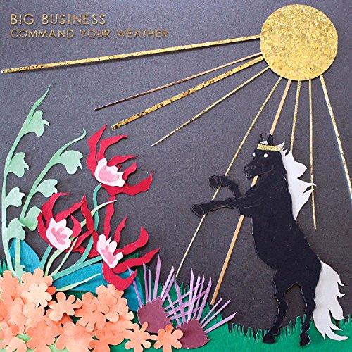 Glen Innes, NSW, Command Your Weather, Music, Vinyl LP, Rocket Group, Jul16, JOYFUL NOISE, Big Business, Alternative