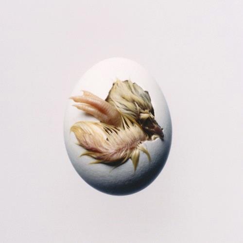 Glen Innes, NSW, Swallow!, Music, Vinyl LP, Universal Music, Nov26, BECAUSE MUSIC, Shygirl, Alternative