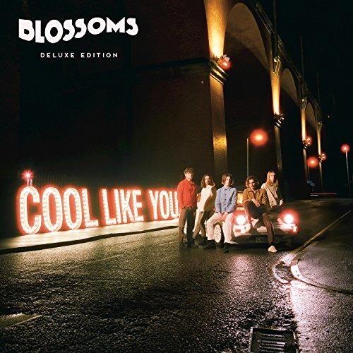 Glen Innes, NSW, Cool Like You , Music, CD, Universal Music, Apr18, , Blossoms, Dance & Electronic