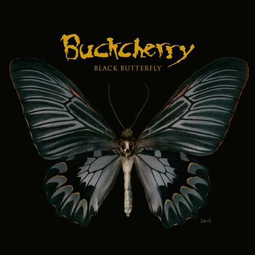 Glen Innes, NSW, Black Butterfly, Music, Vinyl, Inertia Music, Nov25, Virgin, Buckcherry, Rock