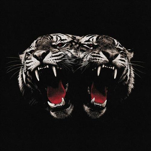 Glen Innes, NSW, Dead Company, Music, Vinyl, Inertia Music, Nov26, Warner Music, Royal Blood, Rock