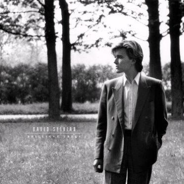 Glen Innes, NSW, Brilliant Trees, Music, Vinyl, Inertia Music, Oct25, INTEGRAL DISTRIBUTION SERVICES, David Sylvian, Alternative