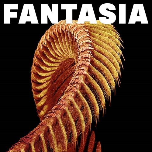 Glen Innes, NSW, Fantasia, Music, Vinyl, Inertia Music, Jun26, Sub Pop Records, Slift, Alternative