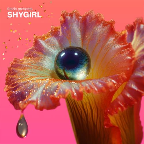 Glen Innes, NSW, Fabric Presents Shygirl, Music, CD, Rocket Group, Apr24, Fabric Records, Shygirl, Various Artists, Dance & Electronic