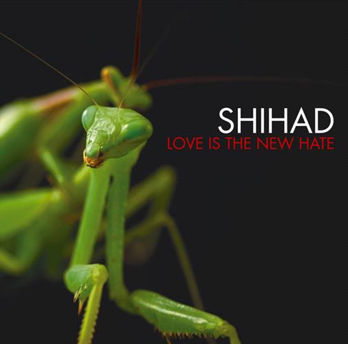 Glen Innes, NSW, Love Is The New Hate, Music, Vinyl, Inertia Music, Jul25, Warner Music, Shihad, Rock