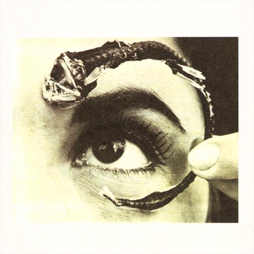 Glen Innes, NSW, Disco Volante, Music, Vinyl, Inertia Music, Oct25, Rhino Records, Mr. Bungle, Alternative