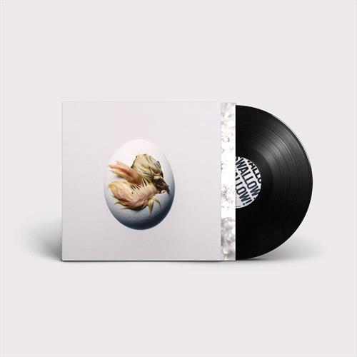 Glen Innes, NSW, Swallow!, Music, Vinyl LP, Universal Music, Nov26, BECAUSE MUSIC, Shygirl, Alternative