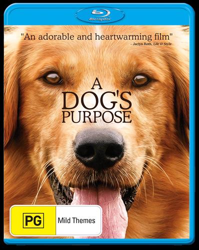 Glen Innes NSW, Dogs Purpose, A, Movie, Children & Family, Blu Ray
