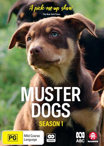 Glen Innes NSW, Muster Dogs, TV, Special Interest, DVD