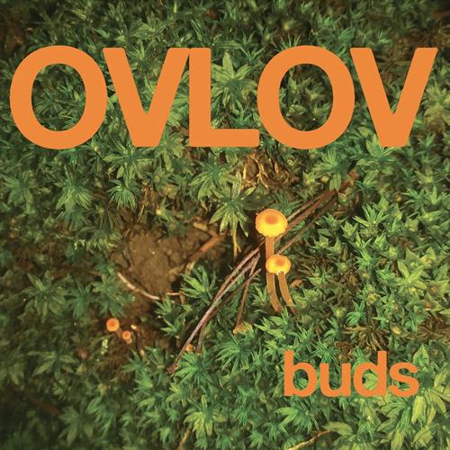 Glen Innes, NSW, Buds, Music, Vinyl LP, MGM Music, Nov21, Exploding In Sound Records, Ovlov, Alternative