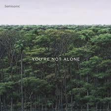 Glen Innes, NSW, Youre Not Alone, Music, Vinyl 12" Single, MGM Music, Sep20, Proper/Pleasuresonic Recordings, Semisonic, Alternative